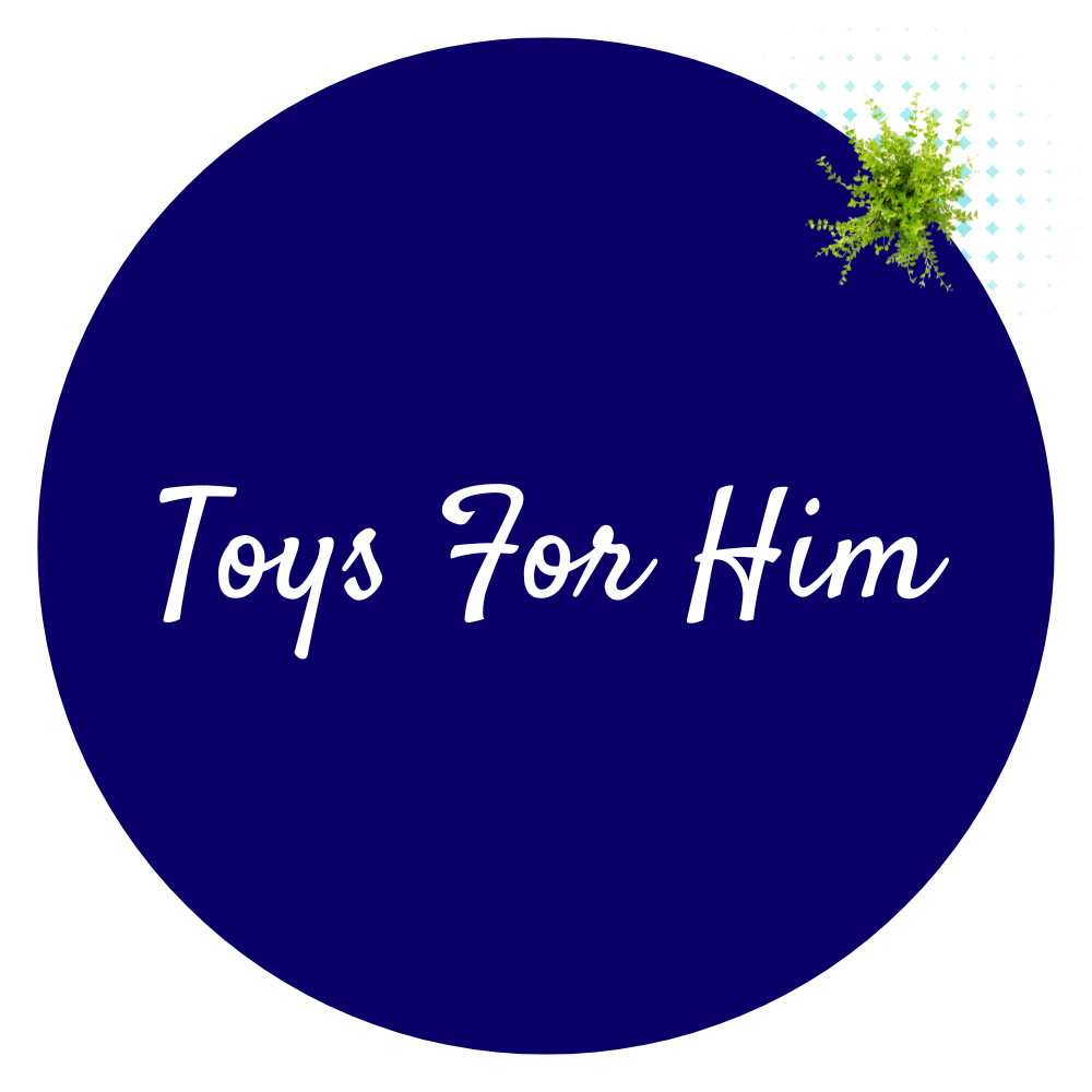 Toys For Him