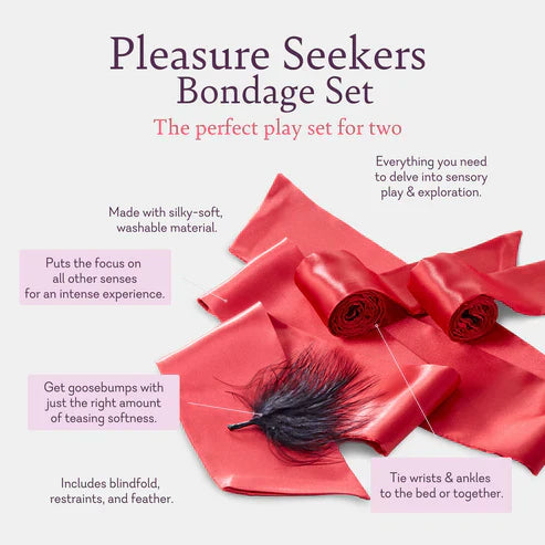 Pleasure Seeker Playset